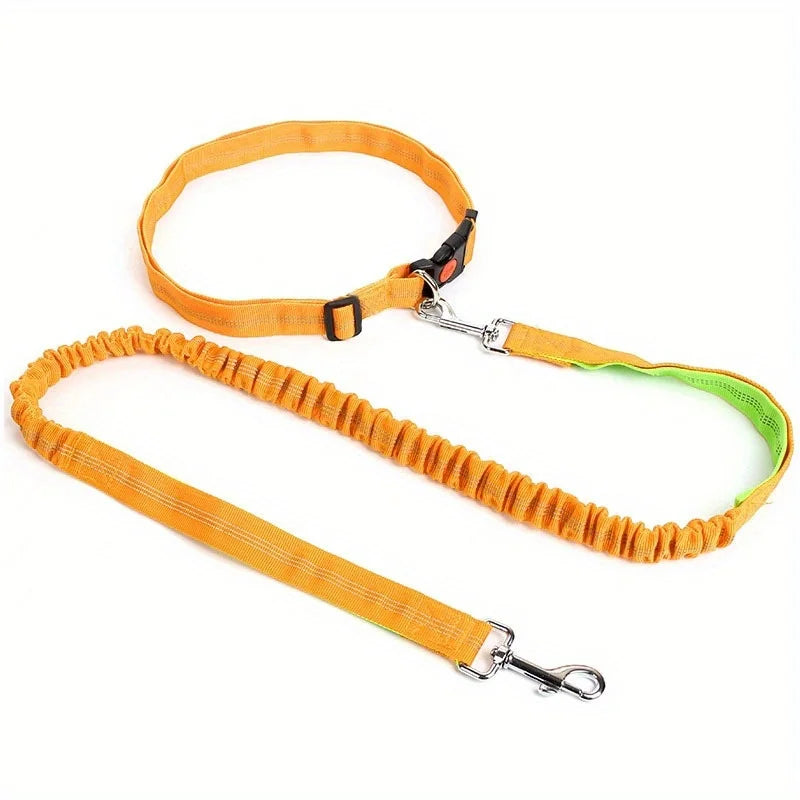 Durable Elastic Nylon Dog Leash for Running and Walking Pet Leash with Comfortable Grip, Ideal for Active Dogs and Pet Owners