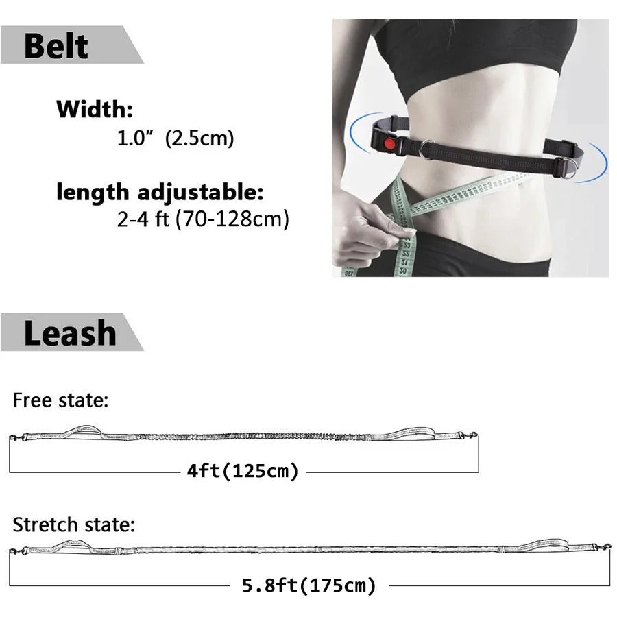 Durable Elastic Nylon Dog Leash for Running and Walking Pet Leash with Comfortable Grip, Ideal for Active Dogs and Pet Owners