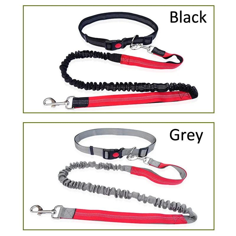 Durable Elastic Nylon Dog Leash for Running and Walking Pet Leash with Comfortable Grip, Ideal for Active Dogs and Pet Owners
