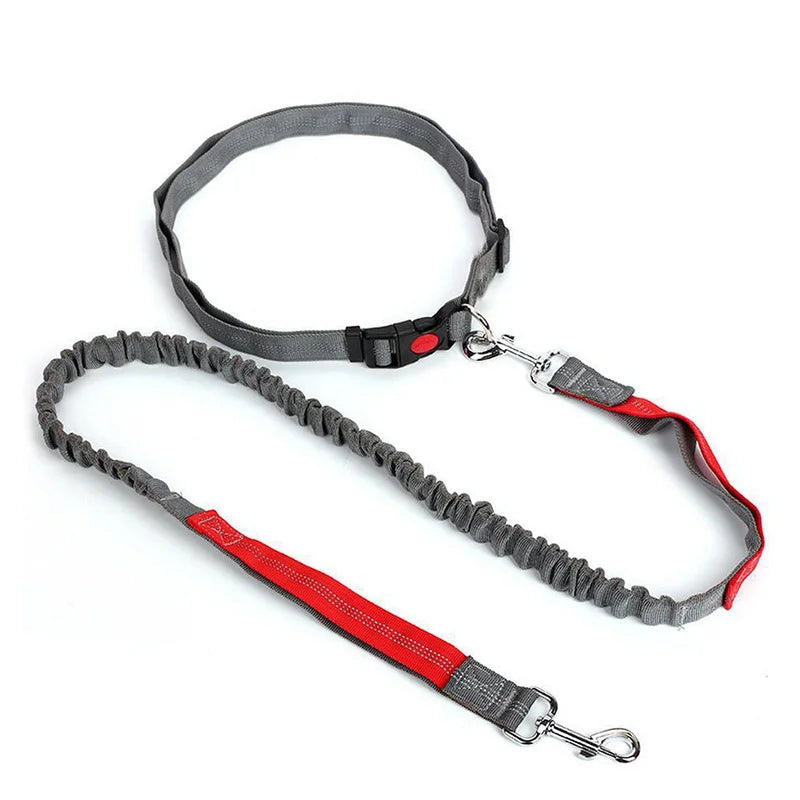Durable Elastic Nylon Dog Leash for Running and Walking Pet Leash with Comfortable Grip, Ideal for Active Dogs and Pet Owners