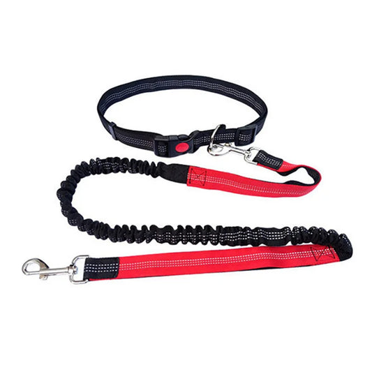 Durable Elastic Nylon Dog Leash for Running and Walking Pet Leash with Comfortable Grip, Ideal for Active Dogs and Pet Owners