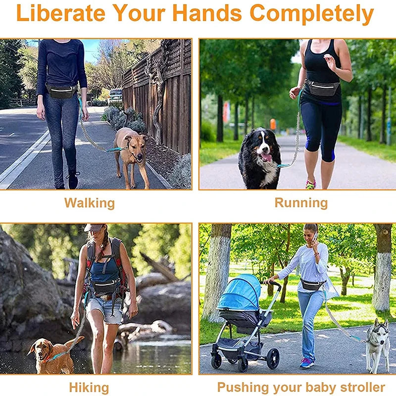 Durable Elastic Nylon Dog Leash for Running and Walking Pet Leash with Comfortable Grip, Ideal for Active Dogs and Pet Owners
