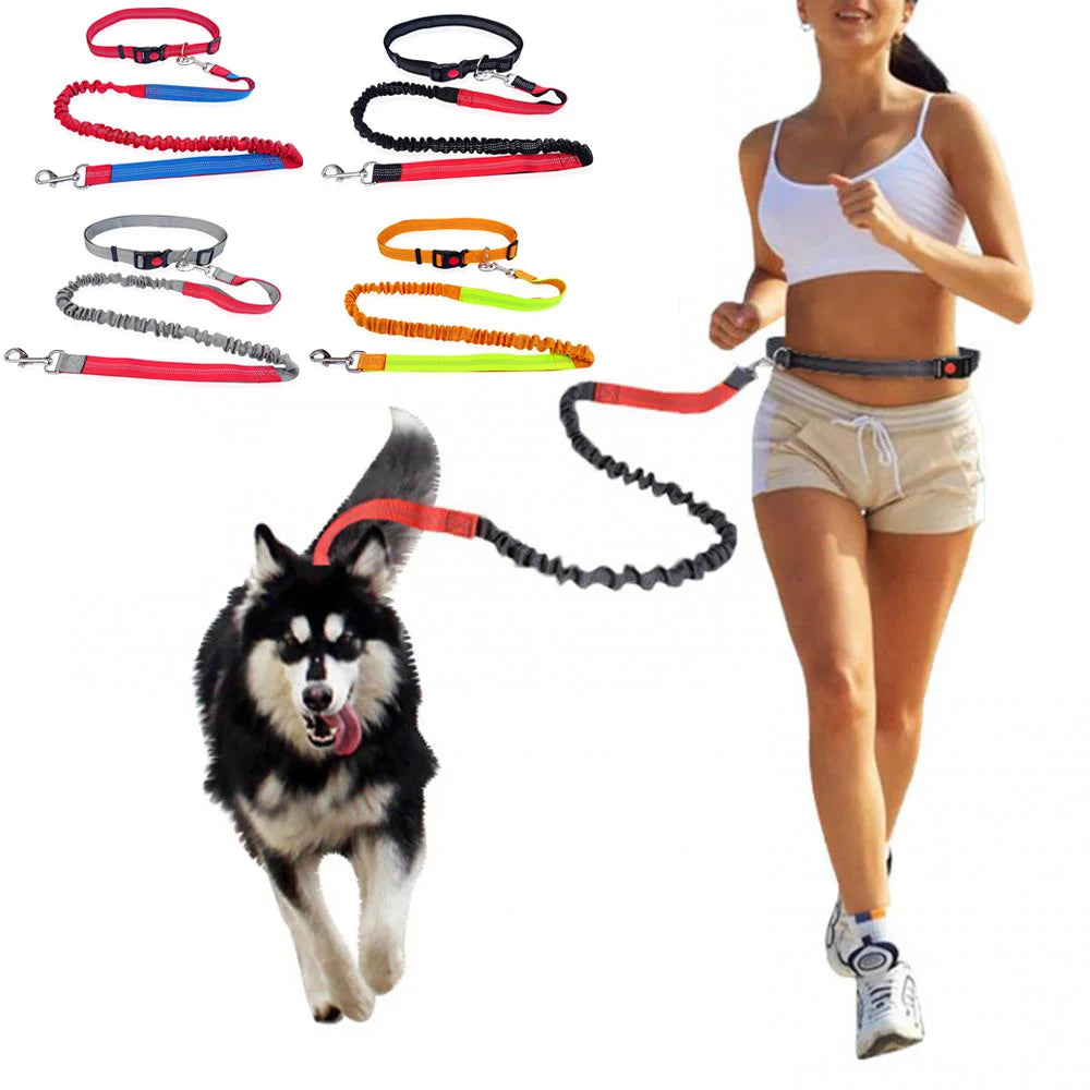 Durable Elastic Nylon Dog Leash for Running and Walking Pet Leash with Comfortable Grip, Ideal for Active Dogs and Pet Owners
