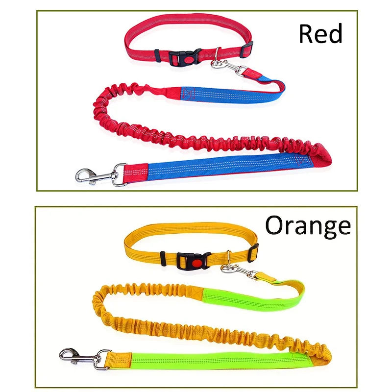 Durable Elastic Nylon Dog Leash for Running and Walking Pet Leash with Comfortable Grip, Ideal for Active Dogs and Pet Owners