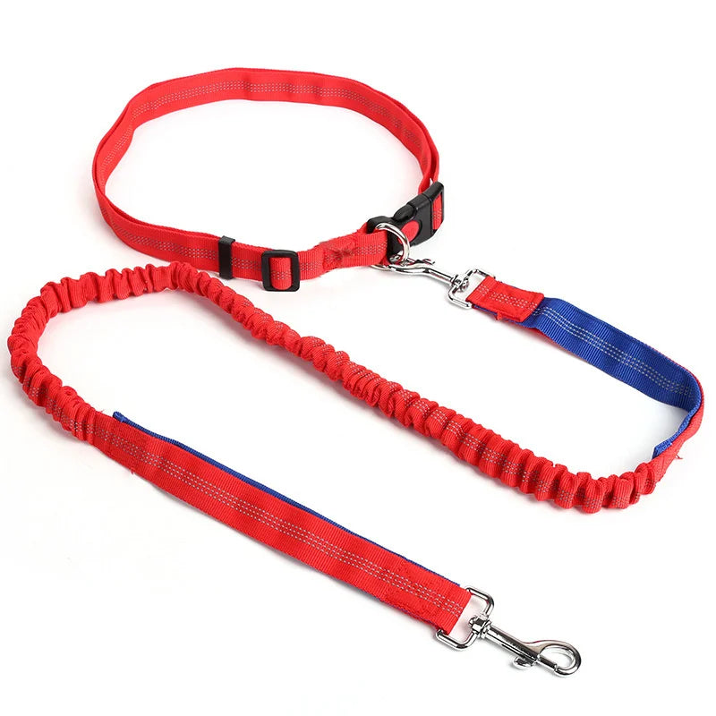 Durable Elastic Nylon Dog Leash for Running and Walking Pet Leash with Comfortable Grip, Ideal for Active Dogs and Pet Owners