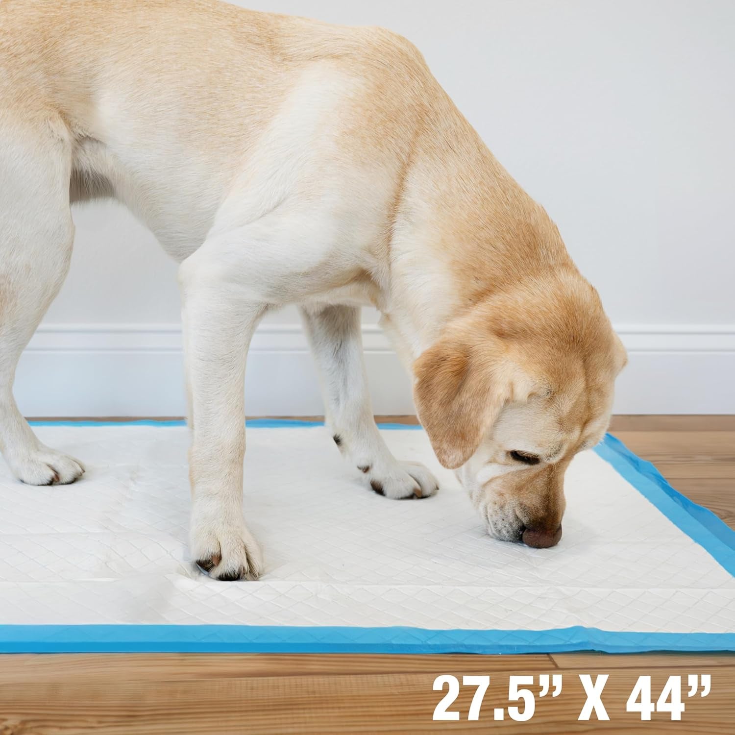 Wee-Wee Superior Performance Pee Pads for Dogs & Puppies, with 6-Layer Leak Proof Technology, for House Training – Gigantic, 69.85Cm X 111.76Cm (27.5" X 44"), (18 Count)