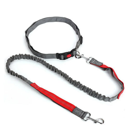 Durable Elastic Nylon Dog Leash for Running and Walking Pet Leash with Comfortable Grip, Ideal for Active Dogs and Pet Owners